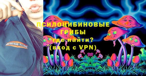 2c-b Богородицк