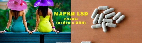 индика Белокуриха