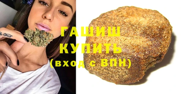 индика Белокуриха
