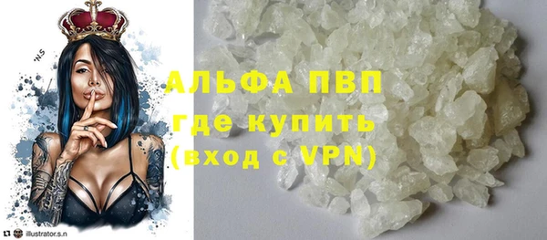 индика Белокуриха