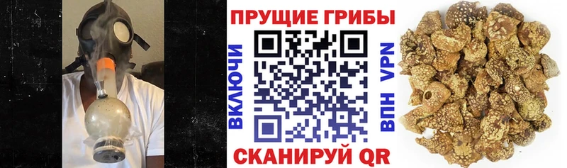 Галлюциногенные грибы Magic Shrooms сколько стоит Меленки